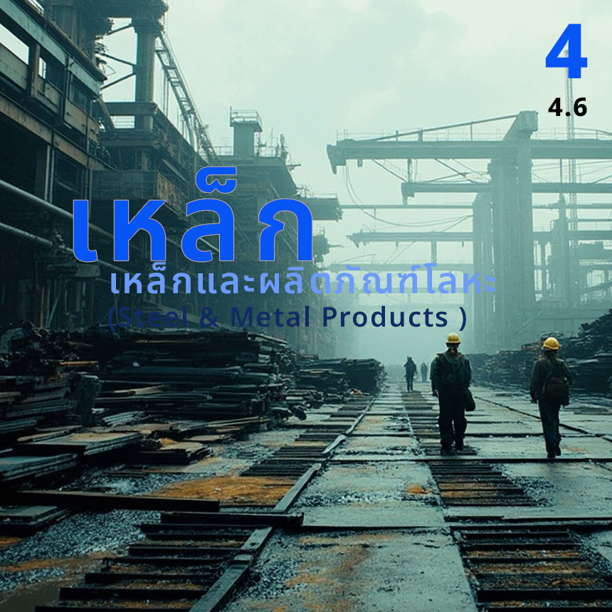 4.6 เหล็กและผลิตภัณฑ์โลหะ  (Steel & Metal Products )
