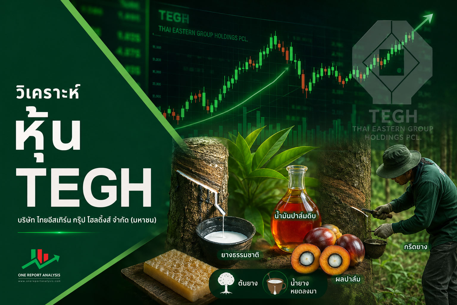 วิเคราะห์ หุ้น TEGH บริษัท ไทยอีสเทิร์น กรุ๊ป โฮลดิ้งส์ จำกัด (มหาชน)