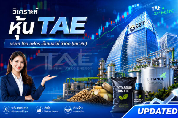 วิเคราะห์ หุ้น TAE บริษัท ไทย อะโกร เอ็นเนอร์ยี่ จำกัด (มหาชน)