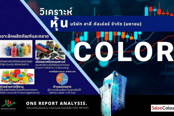 วิเคราะห์ หุ้น COLOR บริษัท สาลี่ คัลเล่อร์ จำกัด (มหาชน)